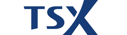 TSX Venture Loans