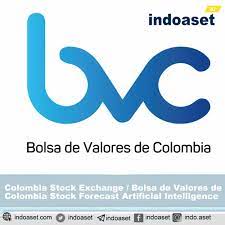 Public Company Loans in Colombia