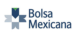 Mexico Stock Loans